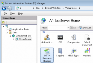 IIS for Virtual Server 2005 R2